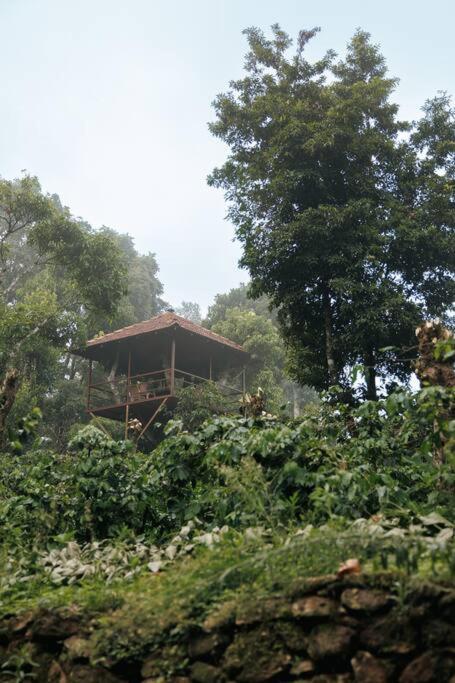 Morgan Manor By Ewa Properties Chikmagalur Bagian luar foto